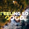 Feeling So Good - Shakerhd Productions&Merzy
