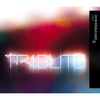 Tribute (U&K Remix) - Mr. A&Heikki L