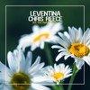 Erie (Original Club Mix) - Leventina&Chris Reece