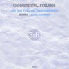 Can You Feel Me Now - Experimental Feelings