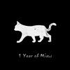 Not Birds (Victor Polo Remix) - Cat Black&Flashers