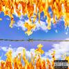 No Limits(feat. Phillip Dark) (Explicit) - Carlie The Pilot&Phillip Dark