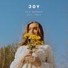 Joy(feat. Tosca) - Guy Didden&Tosca