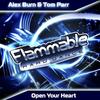 Open Your Heart (Original Mix) - Alex Burn&Tom Parr