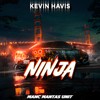 Ninja (Explicit) - Kevin Havis