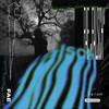 Falsch - Fae August