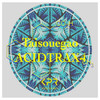Acidtrax4 (DJ SKYR3SH Remix) - Taisouegao&DJ SKYR3SH