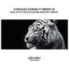 King Of My Castle (House Anatomy Classic Mix) - Stefano Sorge&Berny B&House Anatomy