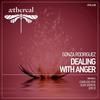 Dealing with Anger (Ilya Gerus Remix) - Gonza Rodriguez