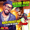 Back Pocket Rag (Remix) - Xyclone&Beenie Man&Cee Gee