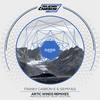 Artic Winds (Data Funk Remix) - Franky carbon-e&Sr. Miyagi