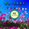 Cbr 211 - WO-CORE