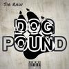 Dog Pound (Explicit) - Sir Raw