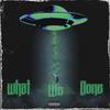 What We Done (Explicit) - Twinzo