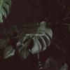 Sweet Dreams - Malcom Beatz