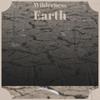 Wilderness Earth - Elon Erles