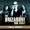 I Fell Apart(single) (single) - Drizabone Soul Family