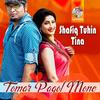 Tomar Pagol Mone - Shafiq Tuhin&Tina