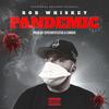 Pandemic (Explicit) - Rob Whiskey