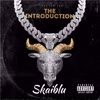 The Introduction - Skaiblu