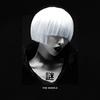 the riddle 謎 - Aymn