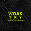 Try (Victor Lou & The Contraband Remix) - WOAK