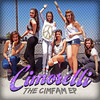 What Makes You Beautiful - Cimorelli