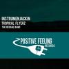 The Reggae Band - Instrumenjackin&Tropical Flyerz
