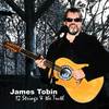 Nothing to Lose - James Tobin