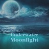 Underwater Moonlight - Jonathan Carlile