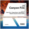 Canyon Fire (Roberto Caceres & Dave Cohen Remix) - Zb&Roberto Caceres&Dave Cohen