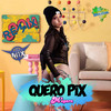 Quero Pix (Remix) - Dj Cleber Mix&ELETROFUNK BRASIL&Mc Mayara