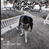 I Ain't Gone Cap - Losthegoat17