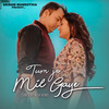 Tum Jo Mil Gaye - Ash King