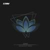 Melancholyc Dream - DZHEF