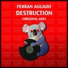 Destruction (Original Mix) - Ferran Aguado