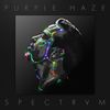 Plum - Purple Haze