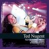 Stranglehold - Ted Nugent