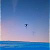 Best of Me (Explicit) - Motc&Austin Levy
