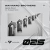 Upside Down - Wayward Brothers
