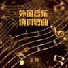 你为何那样无情 - 王艳