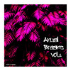 I Don´t Love You (Original Mix) - Seima&DJ Peluka