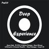 Ogro (Original Mix) - L.D.Houctro&Ricardo Demillo