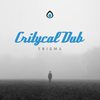 Enigma (Original Mix) - Critycal Dub