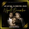 Ngati December (feat. Hilco & DJ Hugo Pro) - Jay Jay Cee Mw&Hilco&DJ Hugo Pro