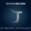 Grooveland (Khrononaut's Remix) - Tribavenue&Khrononaut's