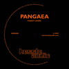 Fuzzy Logic - Pangaea