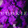 Cookie - Hadi28