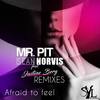 Afraid To Feel (Erick Fill Remix) - Mr. Pit&Sean Norvis&Justine Berg