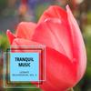 Therapeutic Spa Music (Original Mix) - Manah Banerjee